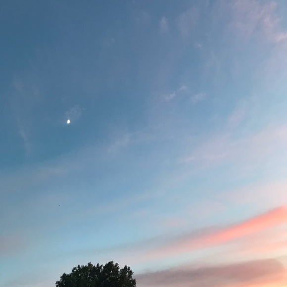 Meet your Posher, Daniela - Picture 1 of 1